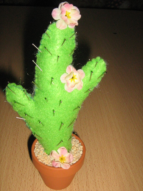Kaktus Nadelkissen
