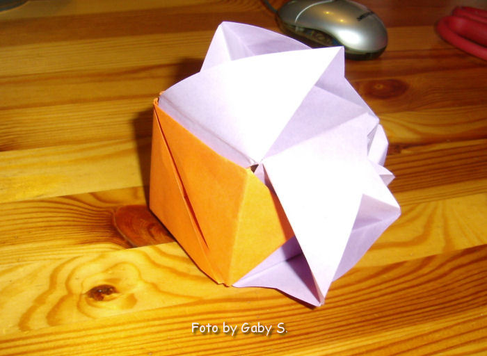 Schachtelrose aus Origami