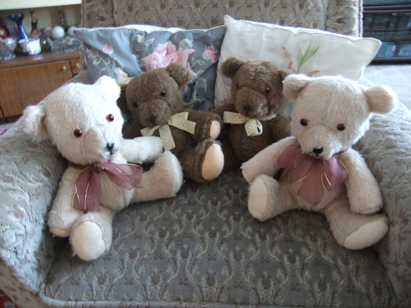 Teddybärenbande